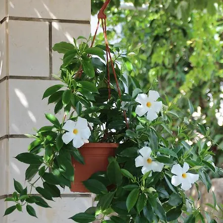Bakara 3* Dubrovnik
